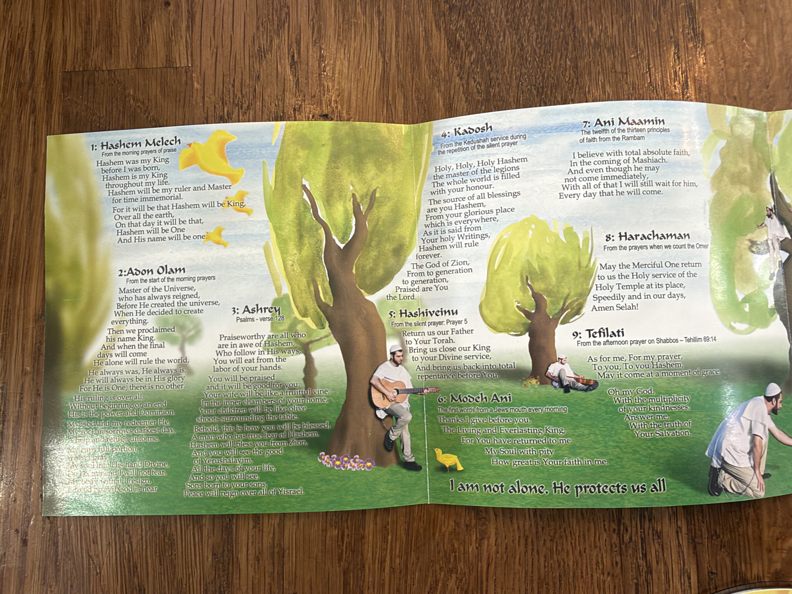 Unfolded booklet panorama of the illustrated meadow